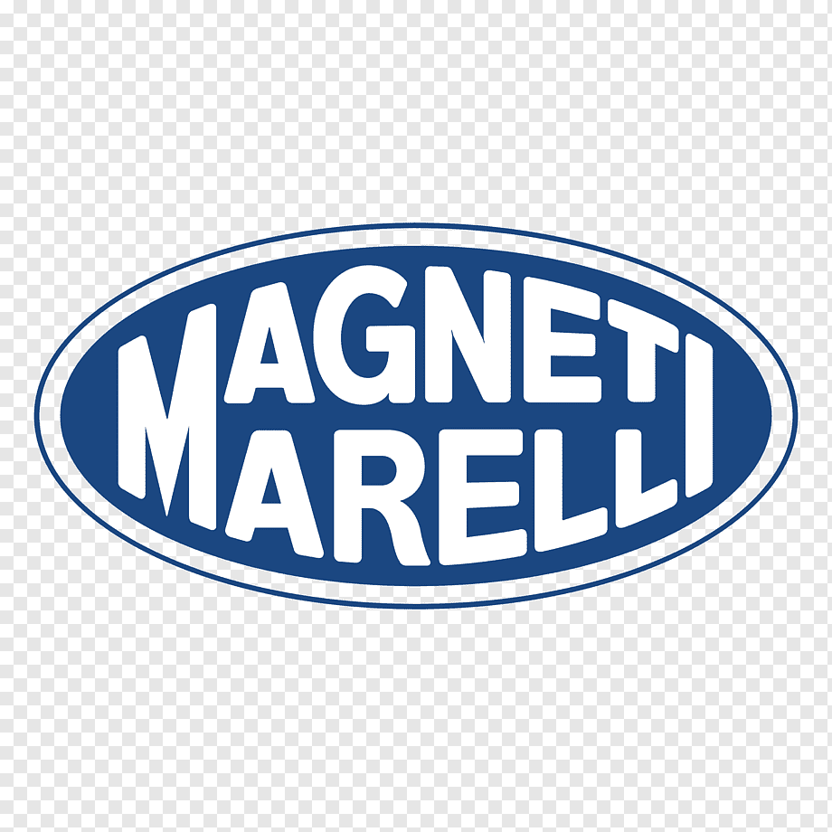 Magneti-marreli